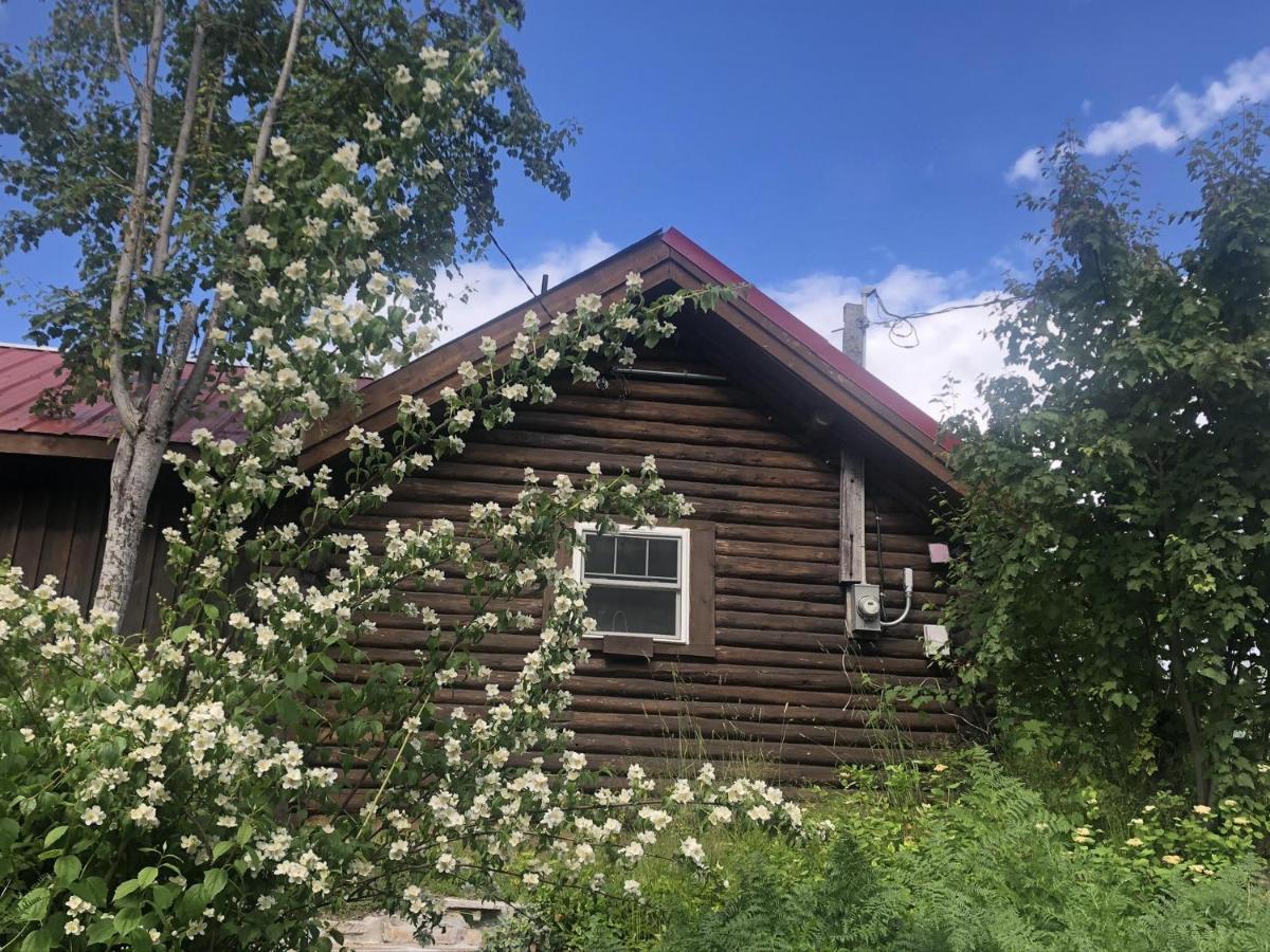 Morning Star Log Cabin Νέλσον Εξωτερικό φωτογραφία